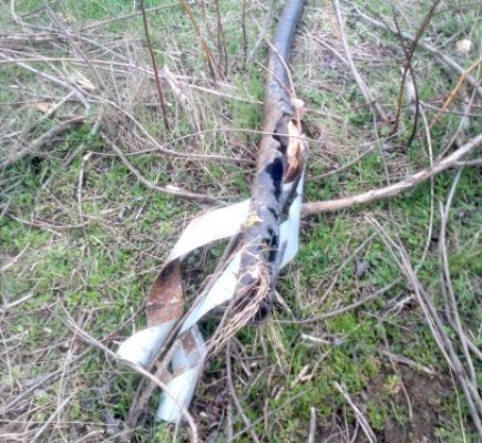 A încercat să fure cablu telefonic şi s-a ales cu dosar penal
